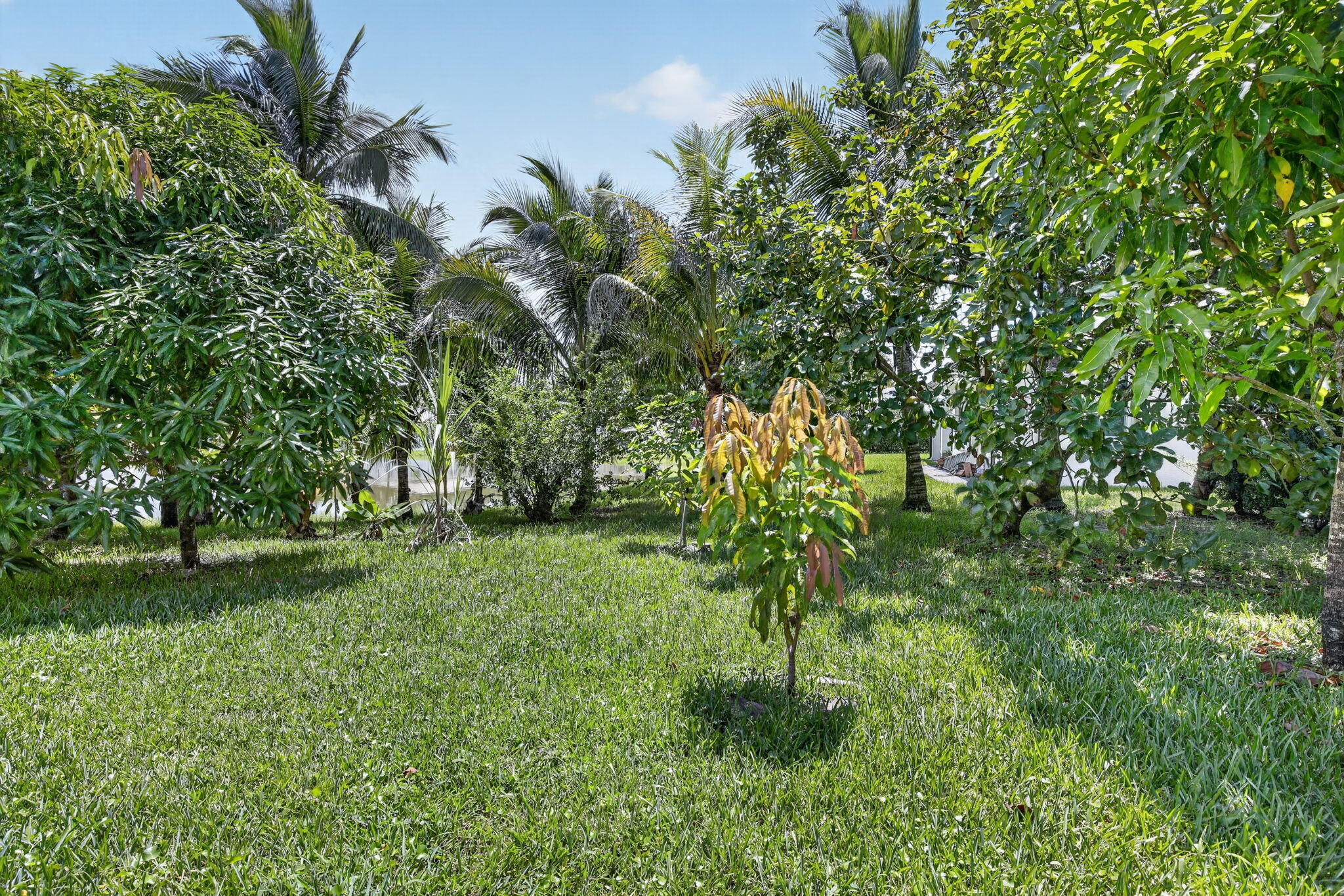 13382 Lakepointe Circle Property Photo 41