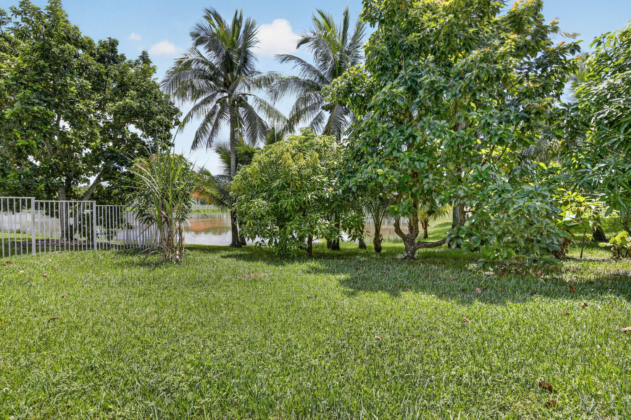13382 Lakepointe Circle Property Photo 43