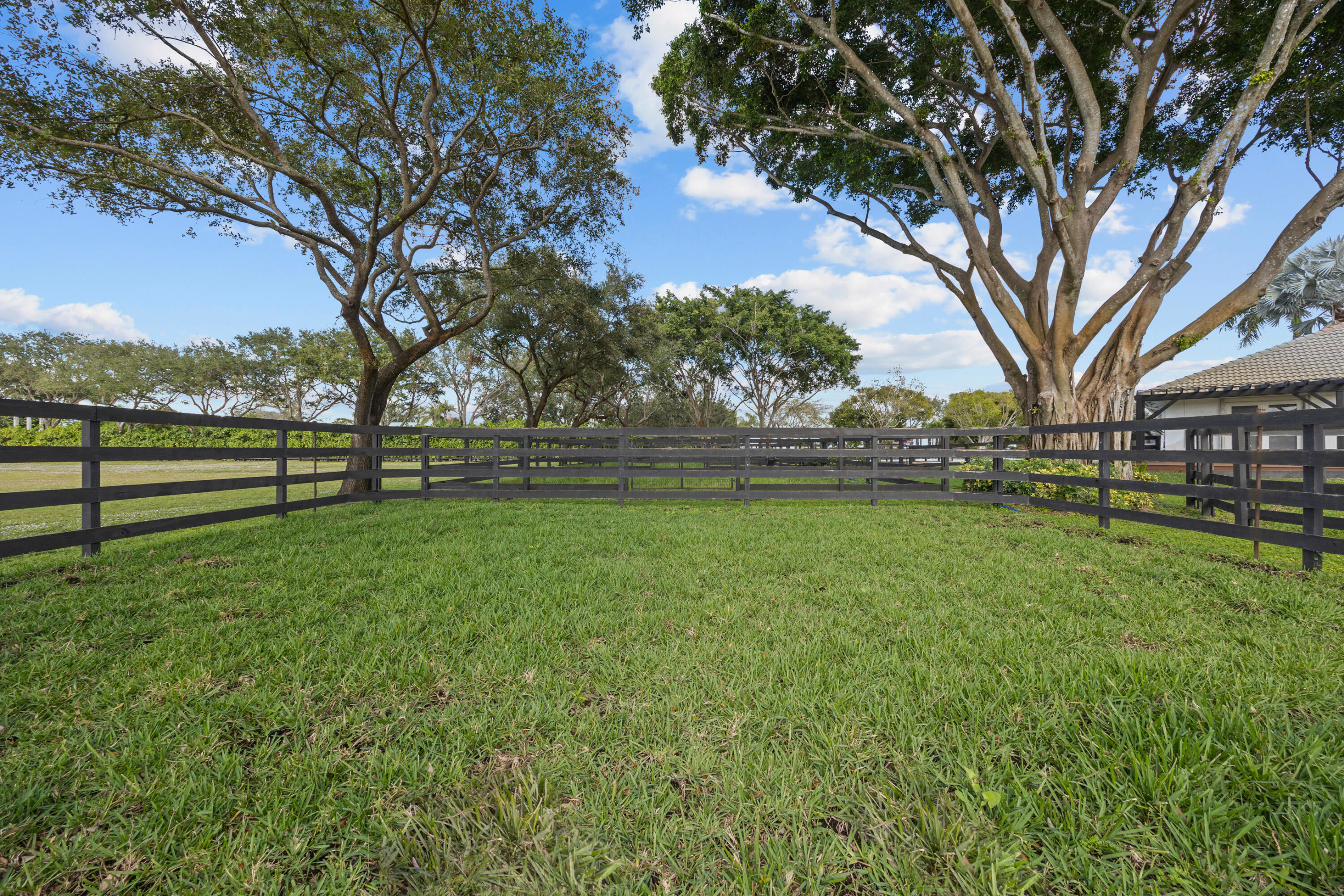 1782 Clydesdale Avenue Property Photo 18
