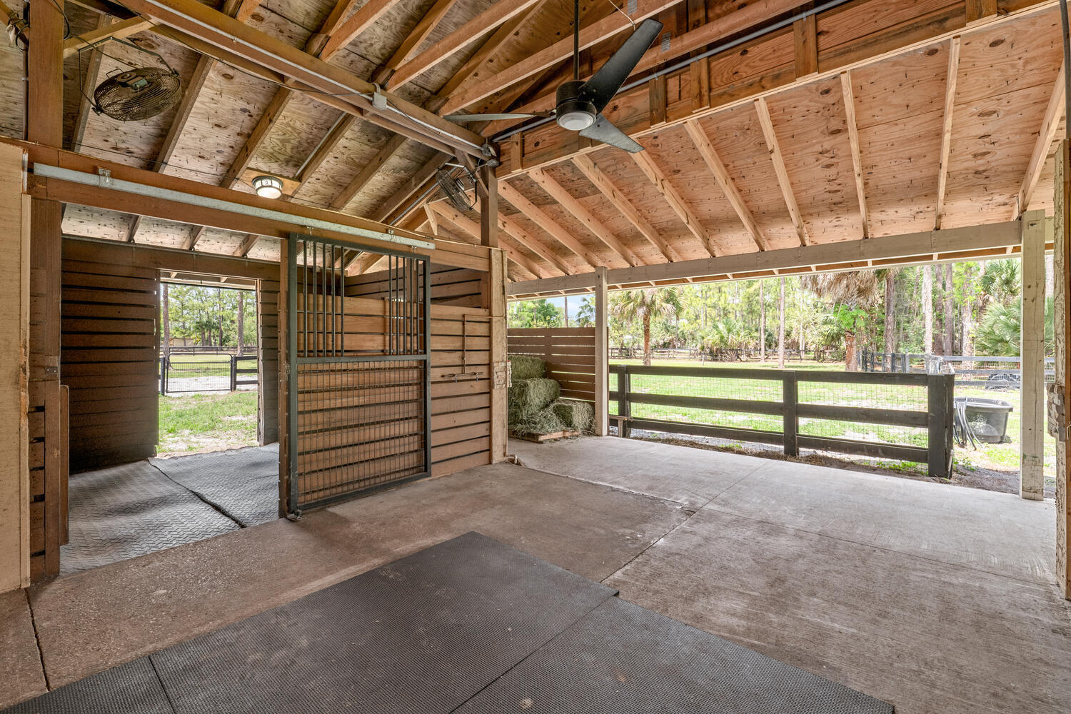 2559 Palm Deer Drive Property Photo 94
