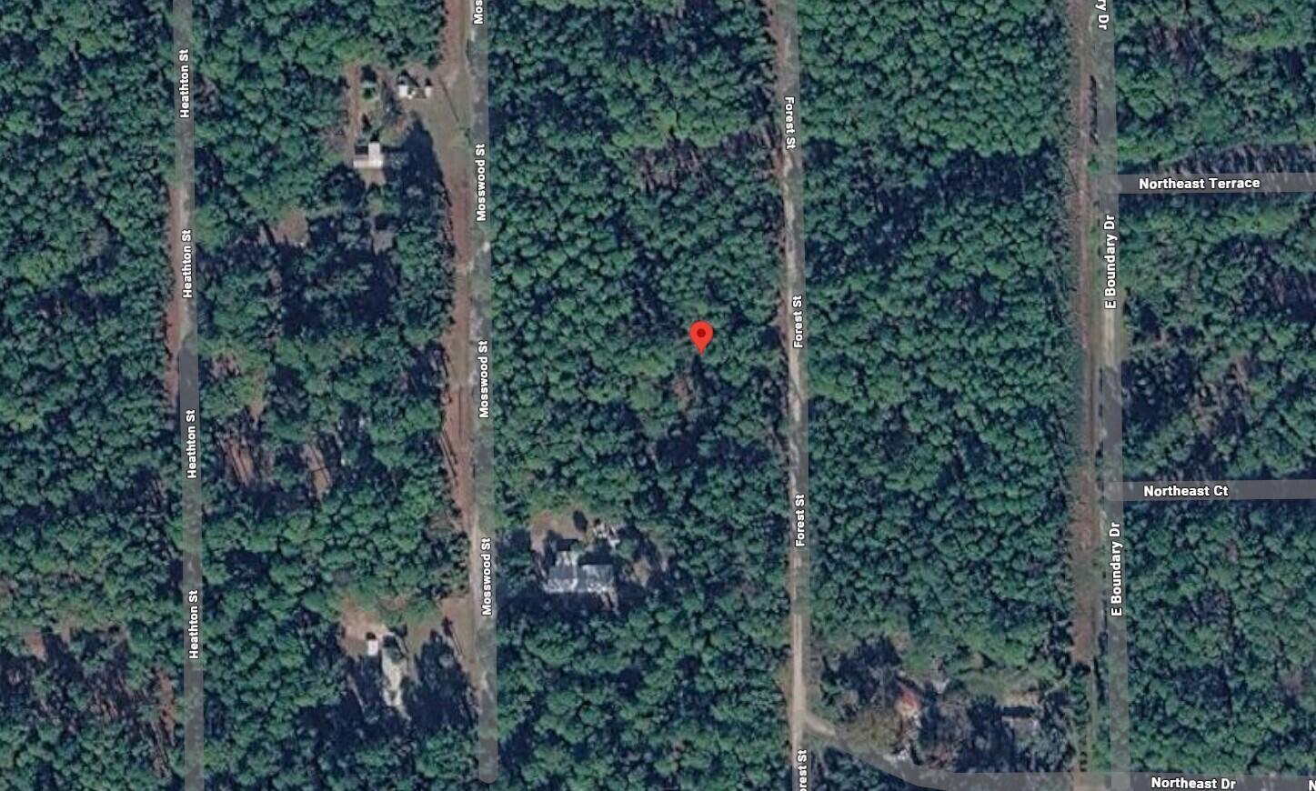 143 Forest Street Property Photo 1