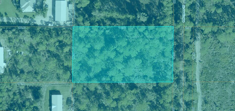 00 Bald Cypress Trail Property Photo 2