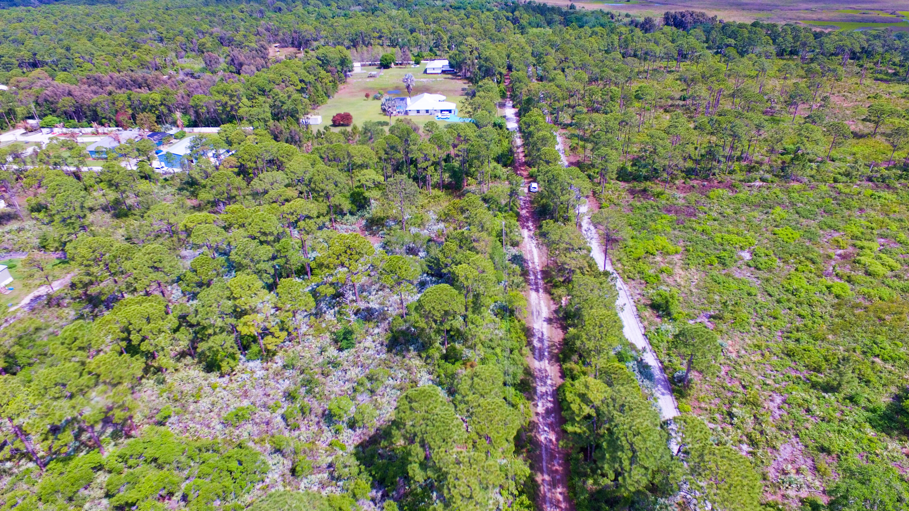 00 Bald Cypress Trail Property Photo 4