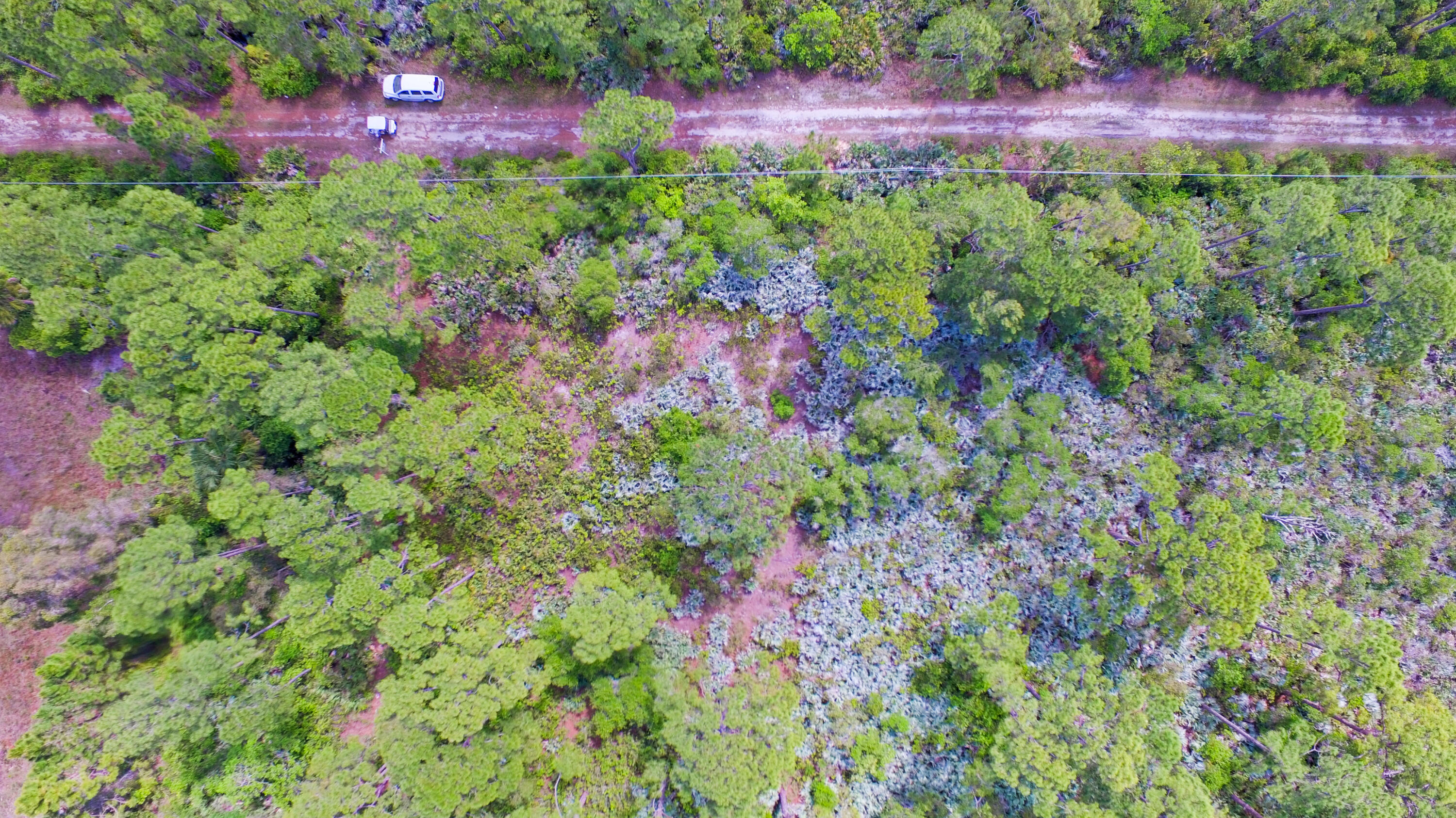 00 Bald Cypress Trail Property Photo 5