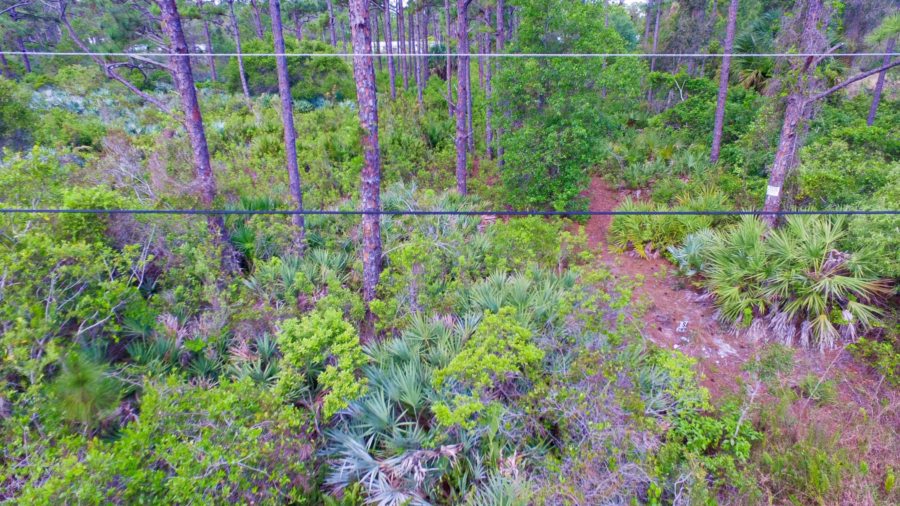 00 Bald Cypress Trail Property Photo 6
