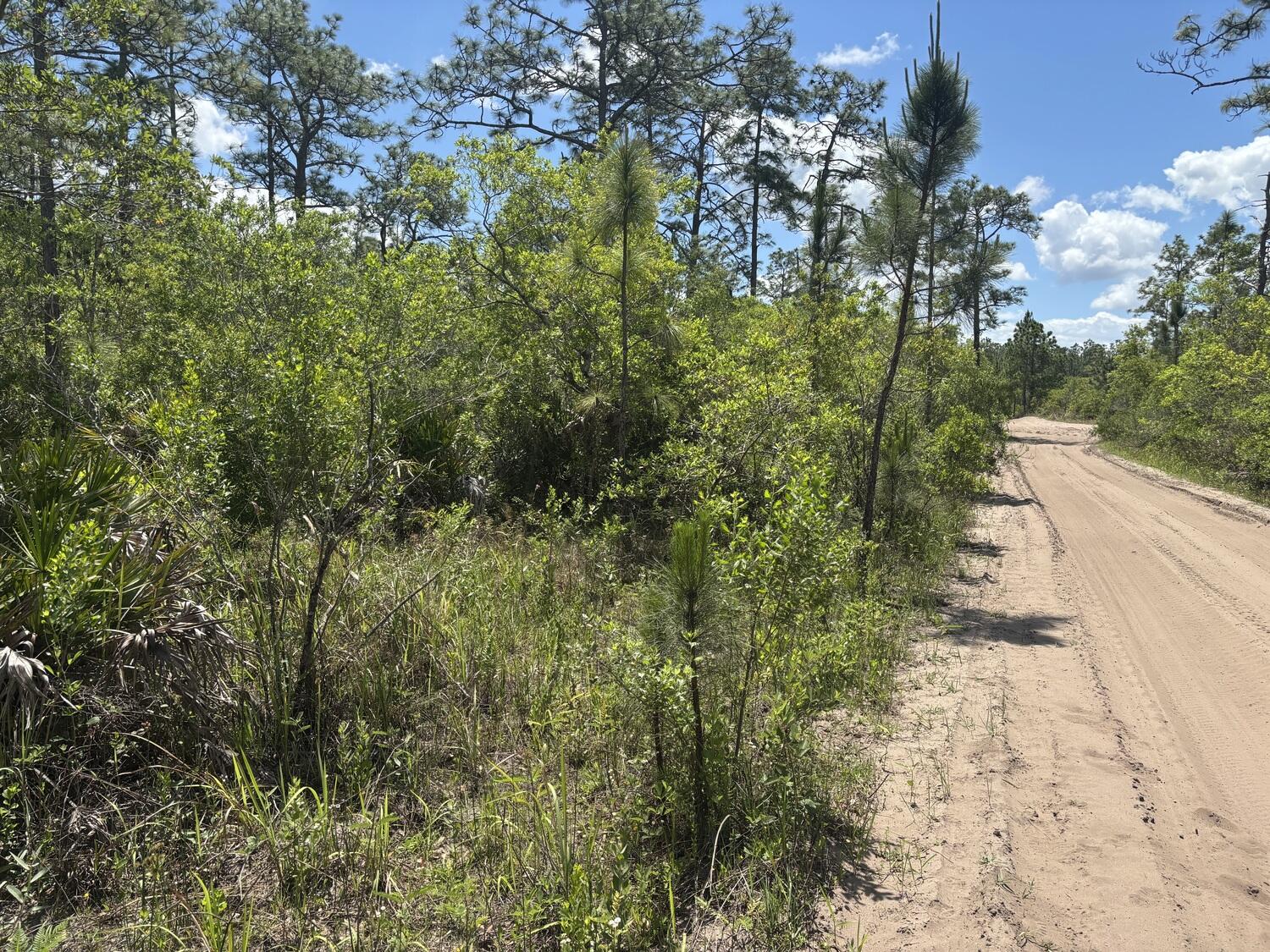 0 Holopaw Groves Road