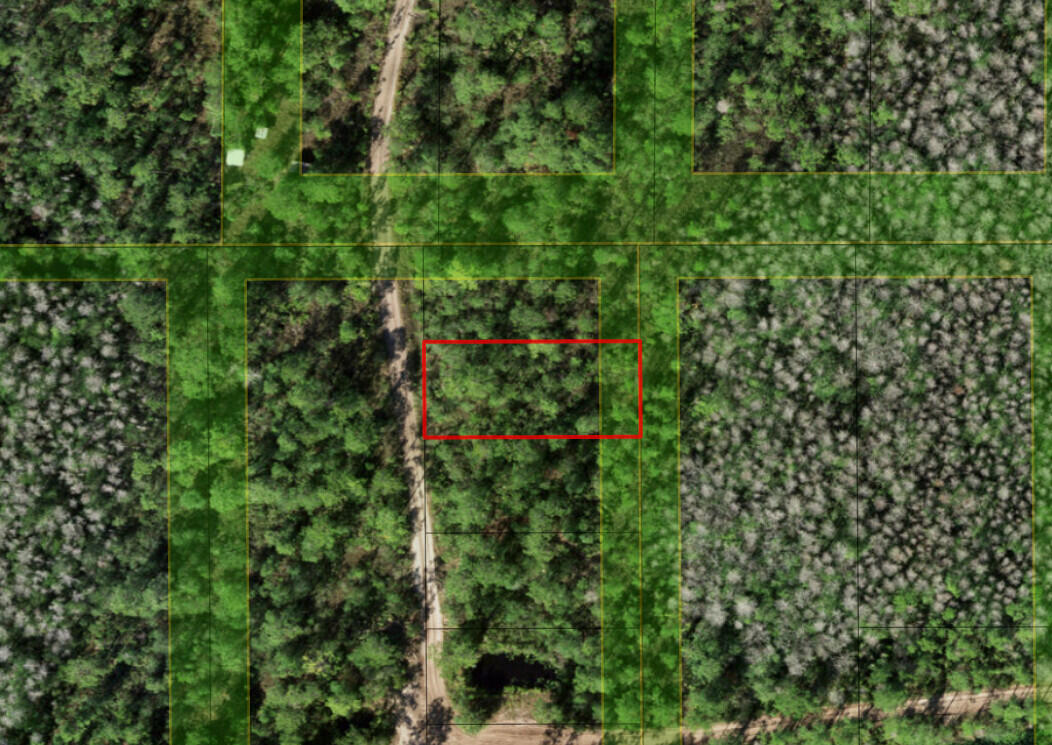 0 Holopaw Groves Road Property Photo 3
