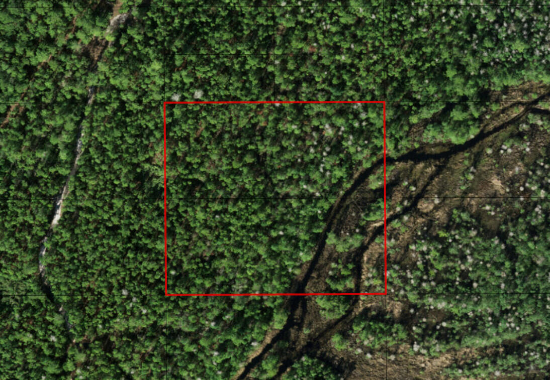 0 Holopaw Groves Road
