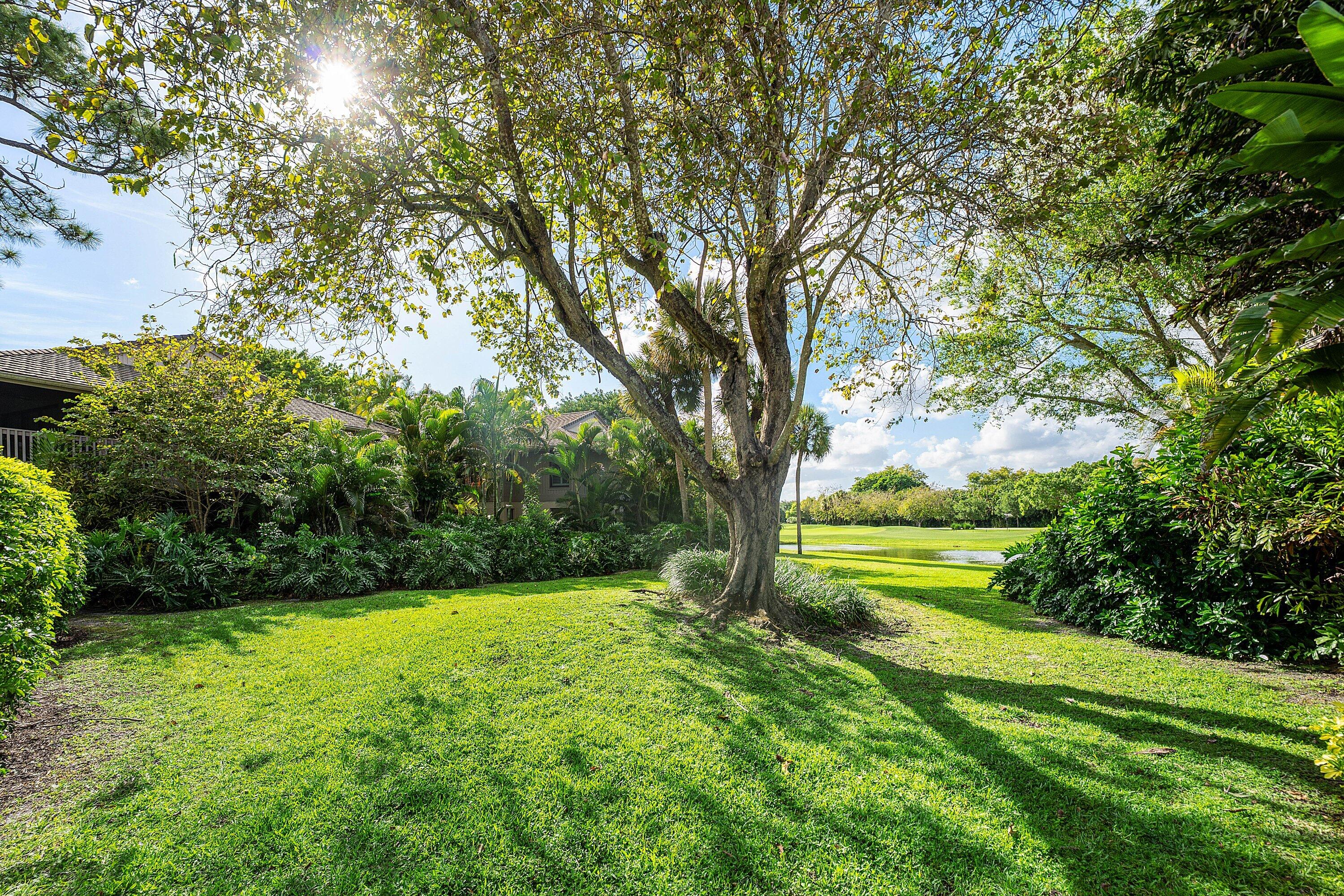 7077 Rain Forest Drive Property Photo 26