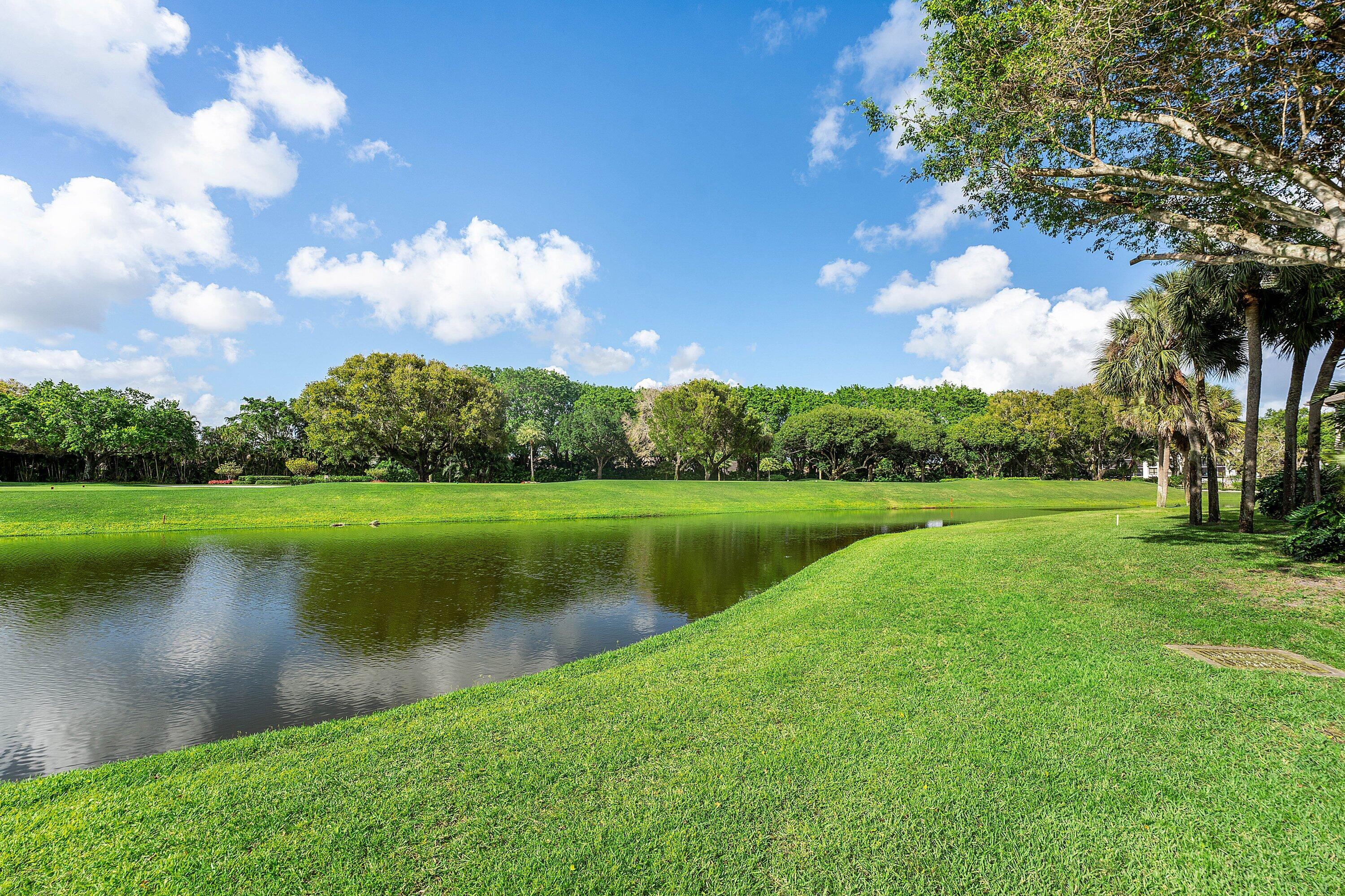 7077 Rain Forest Drive Property Photo 28