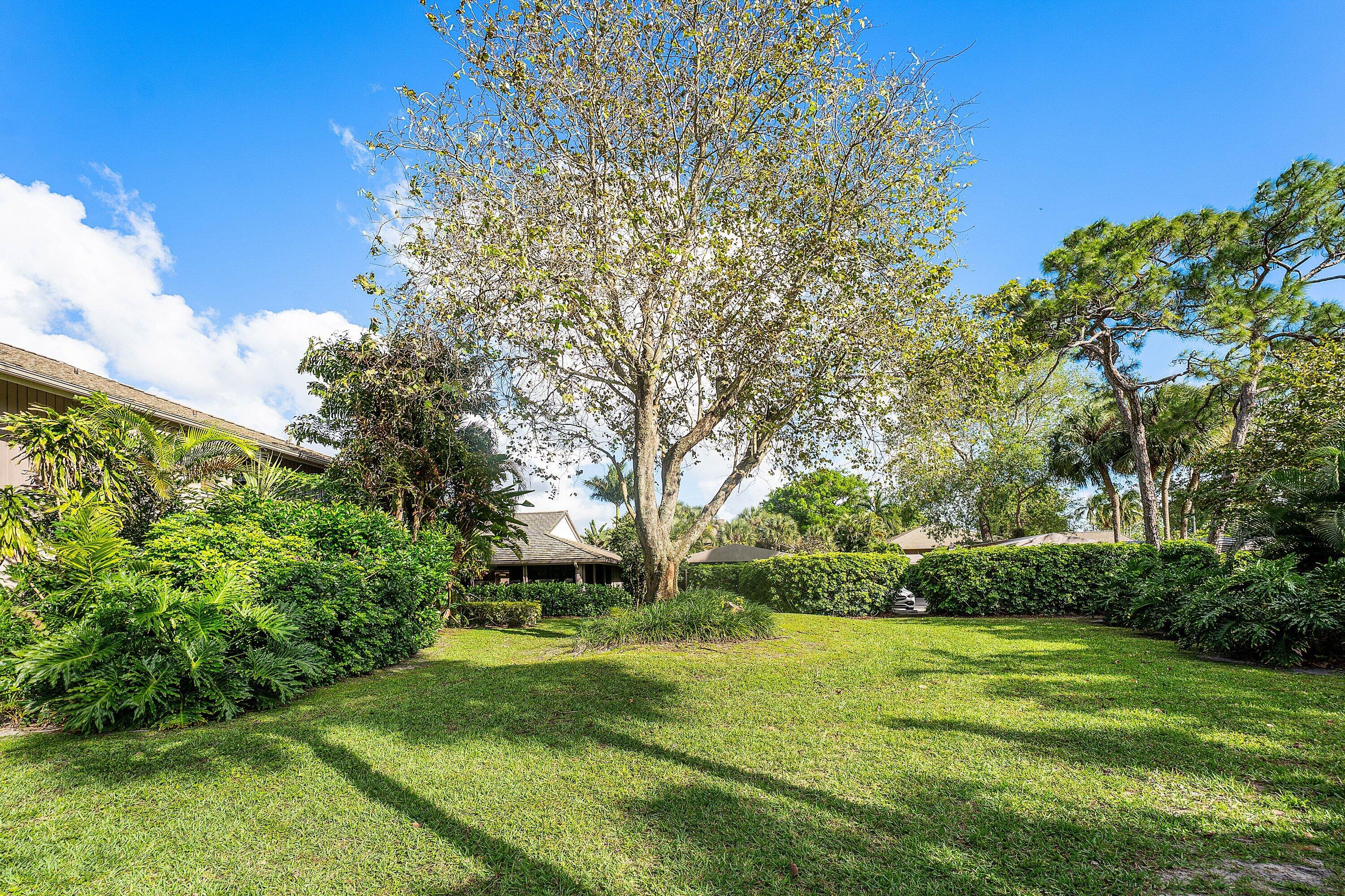 7077 Rain Forest Drive Property Photo 29