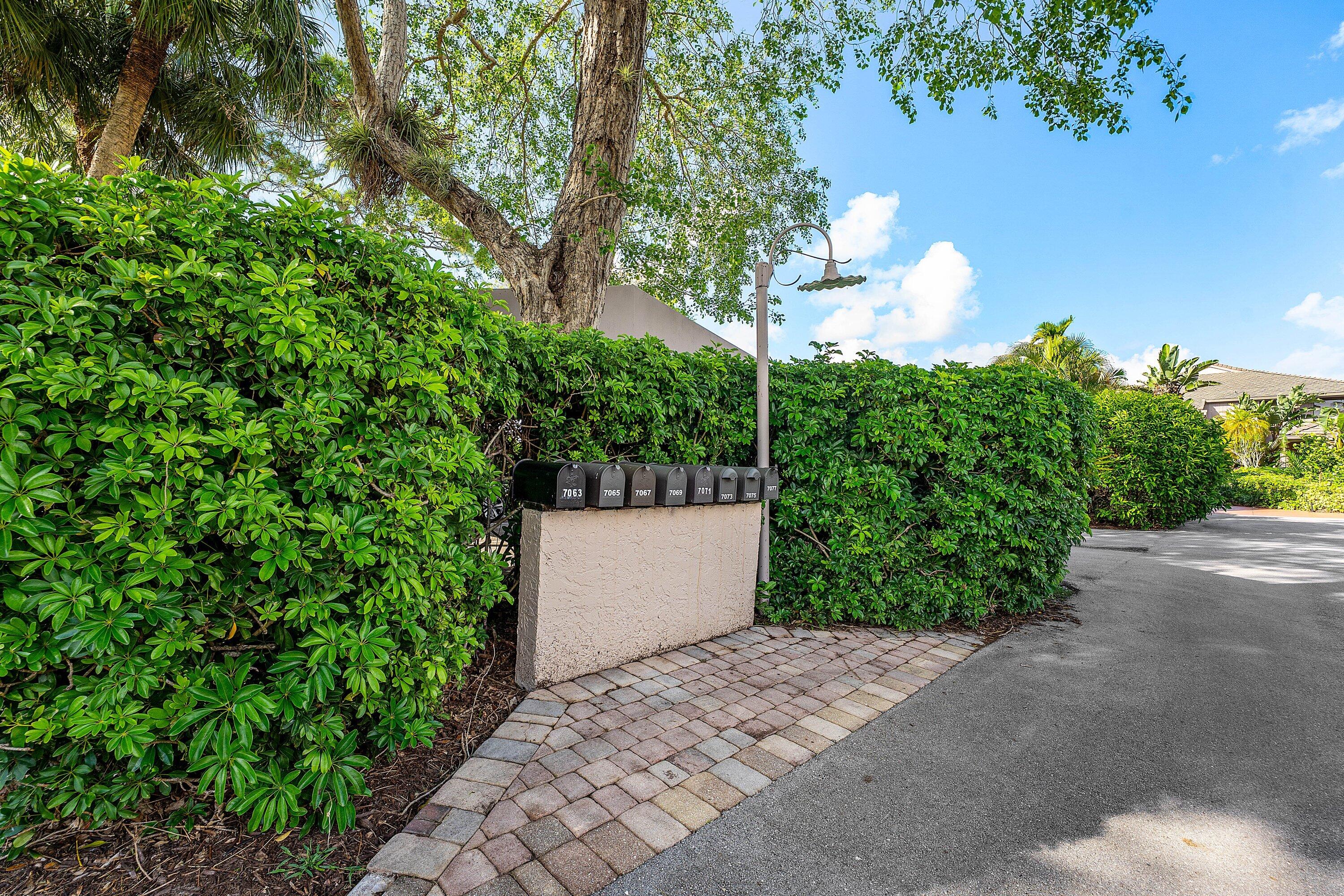 7077 Rain Forest Drive Property Photo 34
