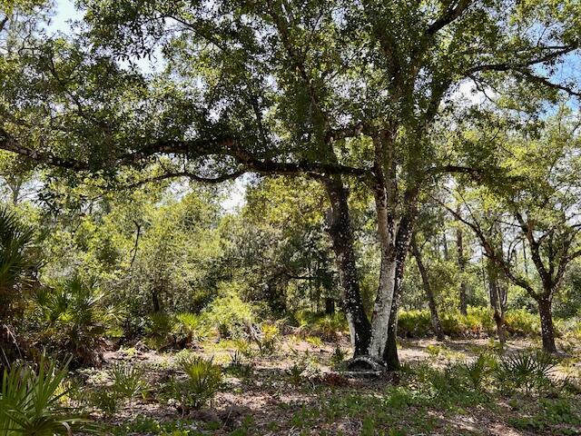1116 Belmonte Drive Property Photo 1