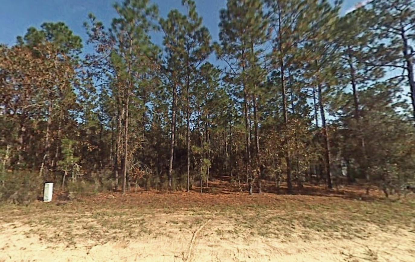 Tbd Sw 166th Court Road Property Photo 1