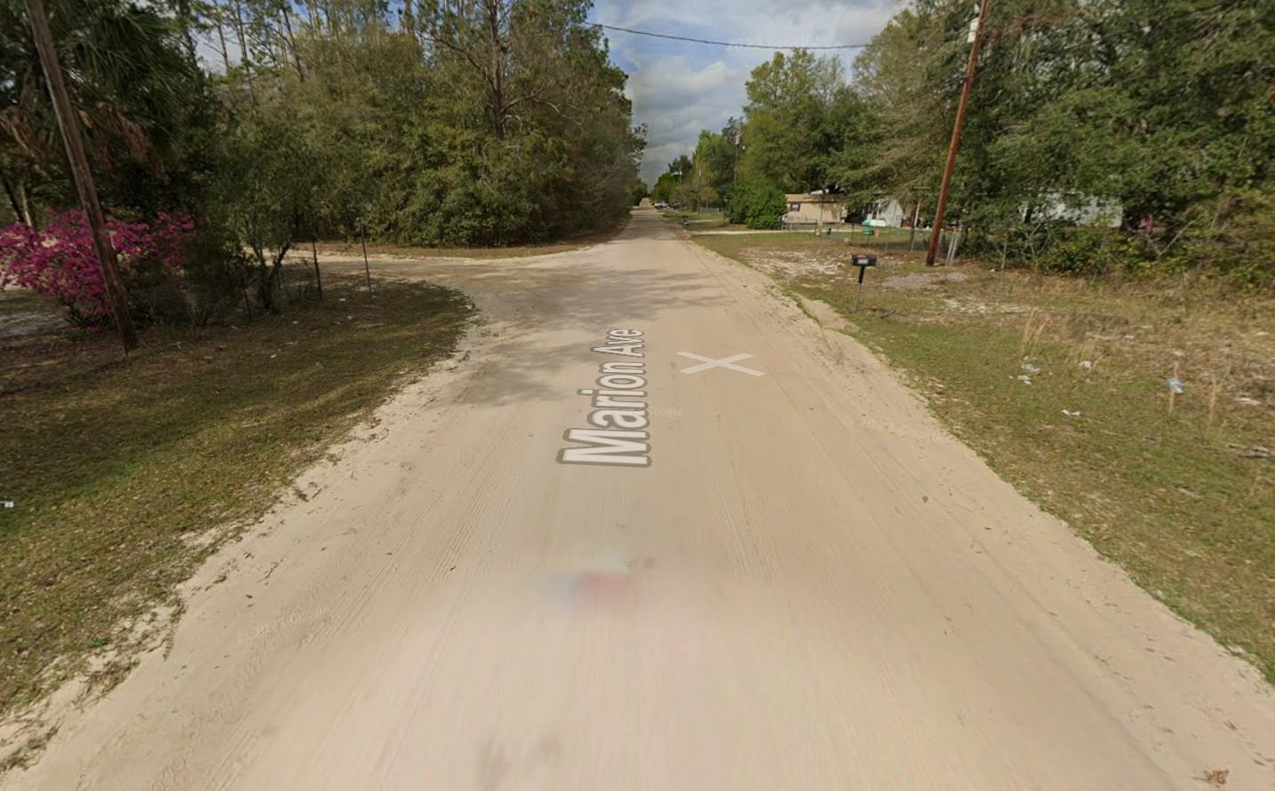 Tbd Marion Avenue Property Photo 2