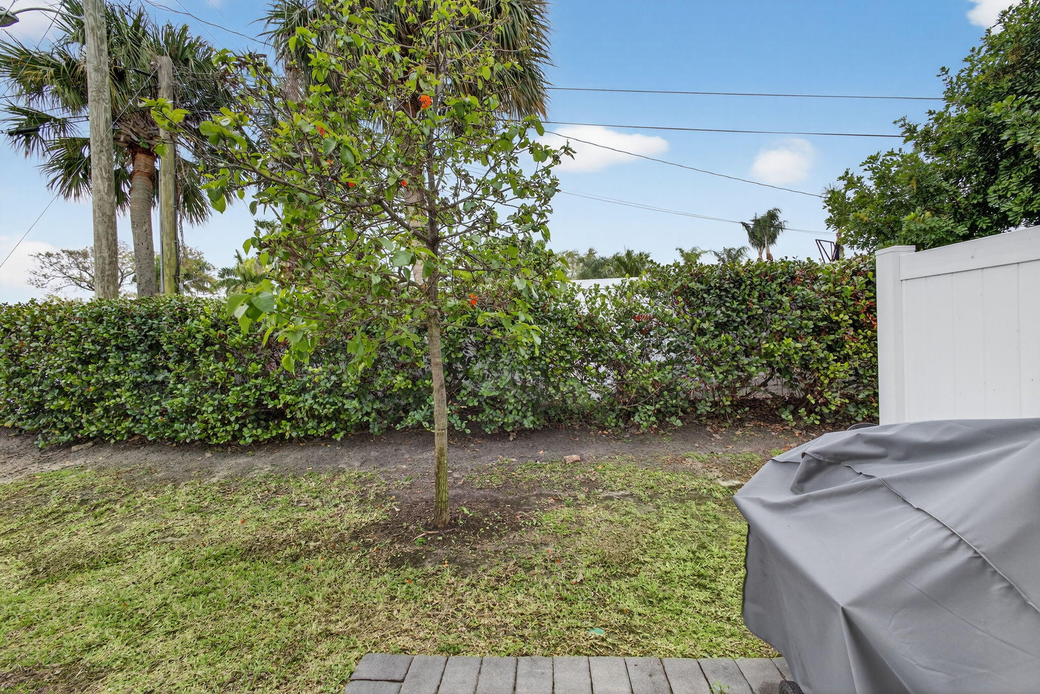 1700 Lindley Street Property Photo 42