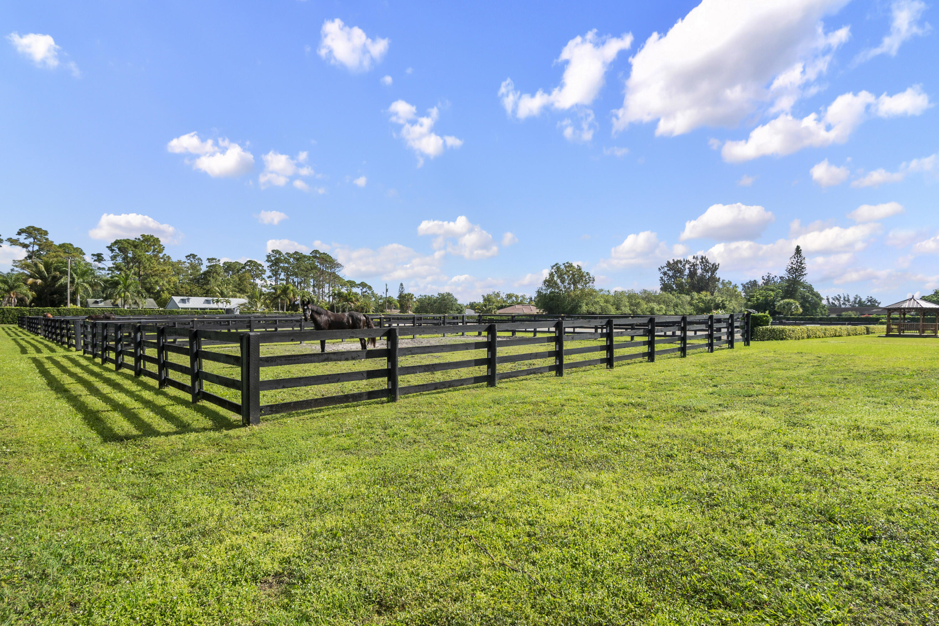 16575 Van Gogh Road Property Photo 21