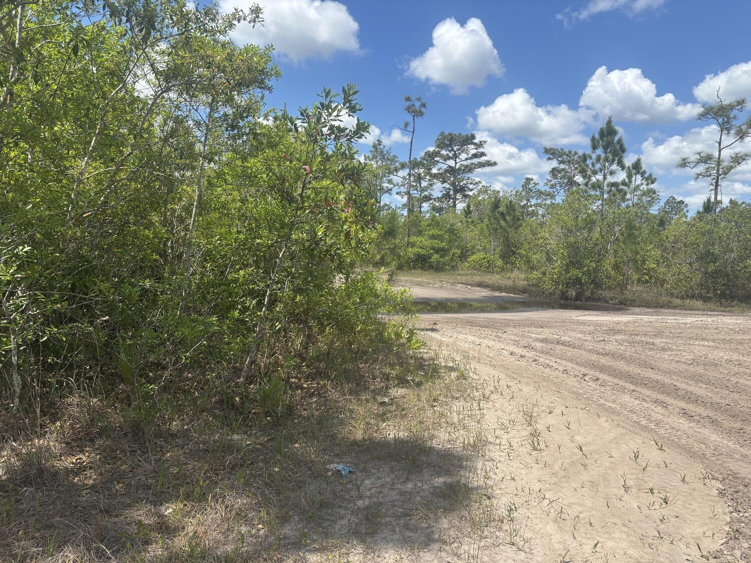 0 Holopaw Groves Road