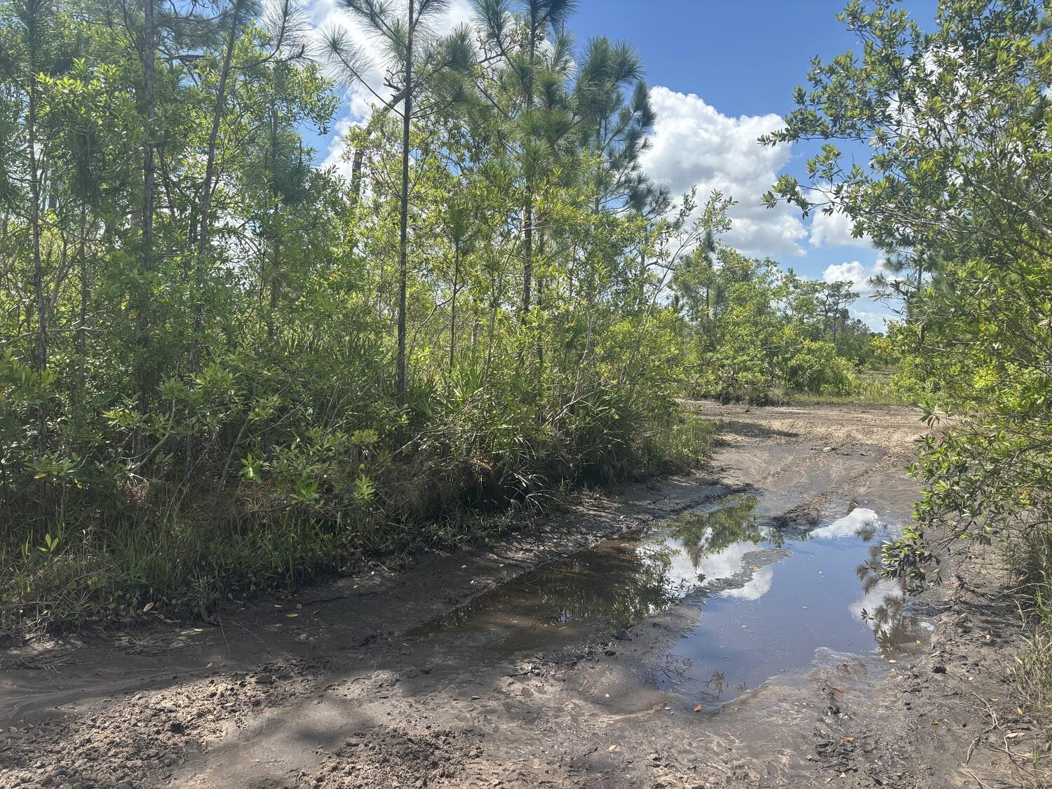 0 Holopaw Groves Road Property Photo 1