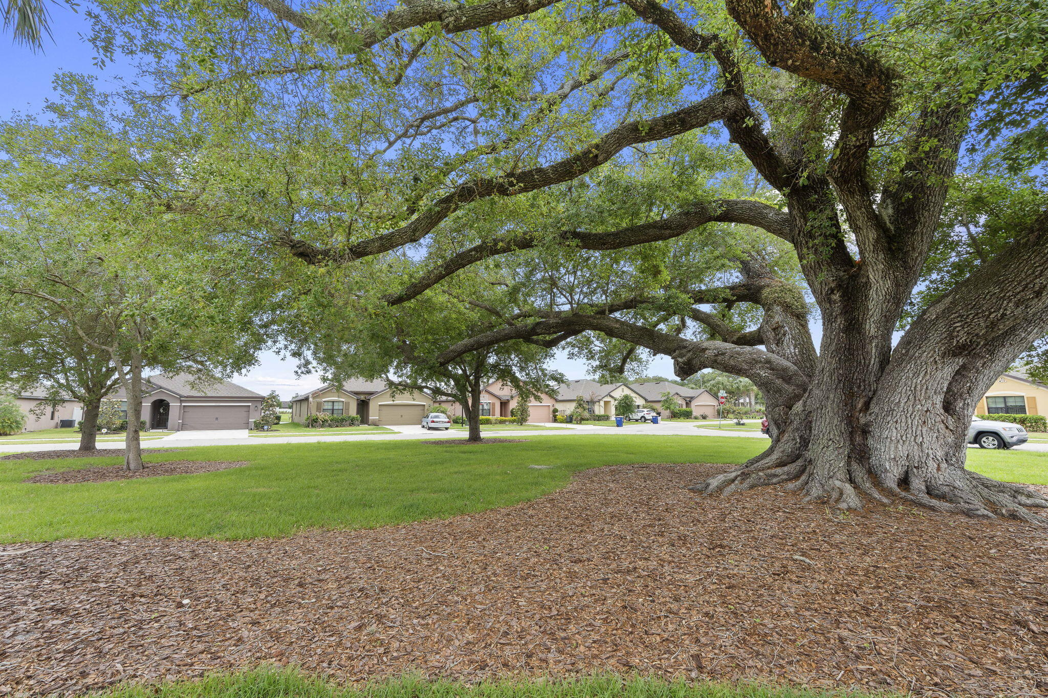 5605 Amusement Avenue Property Photo 34
