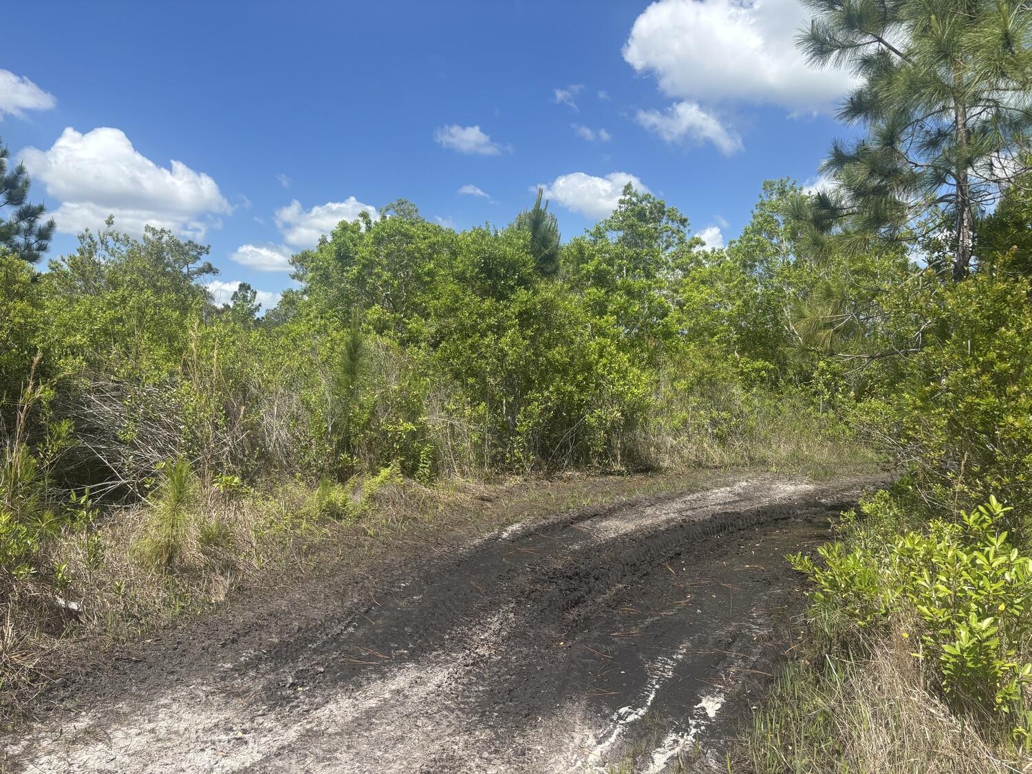 0 Holopaw Groves Road Property Photo 2