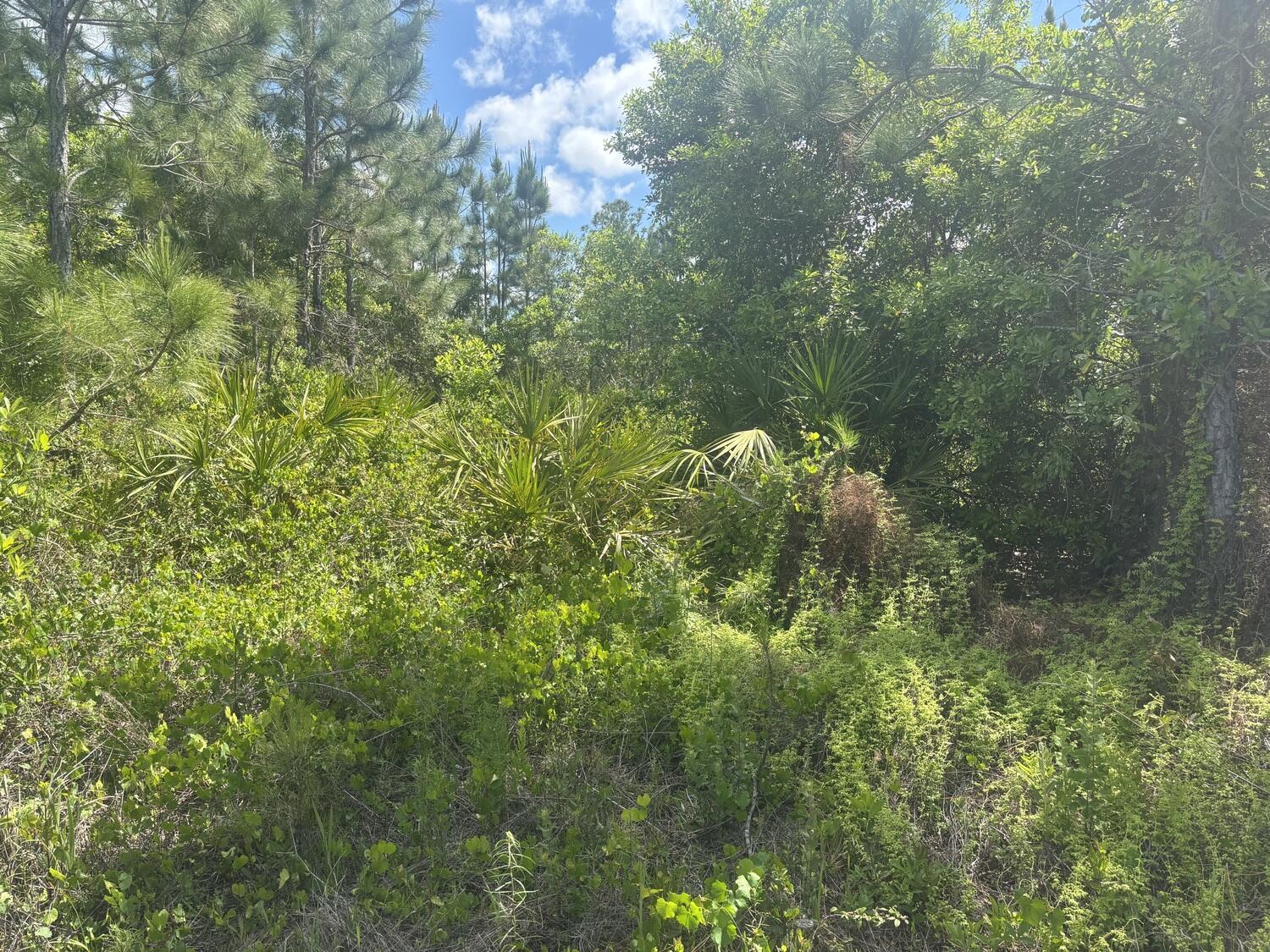 0 Holopaw Groves Road