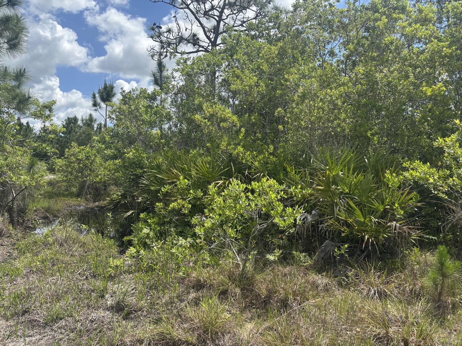 0 Holopaw Groves Road