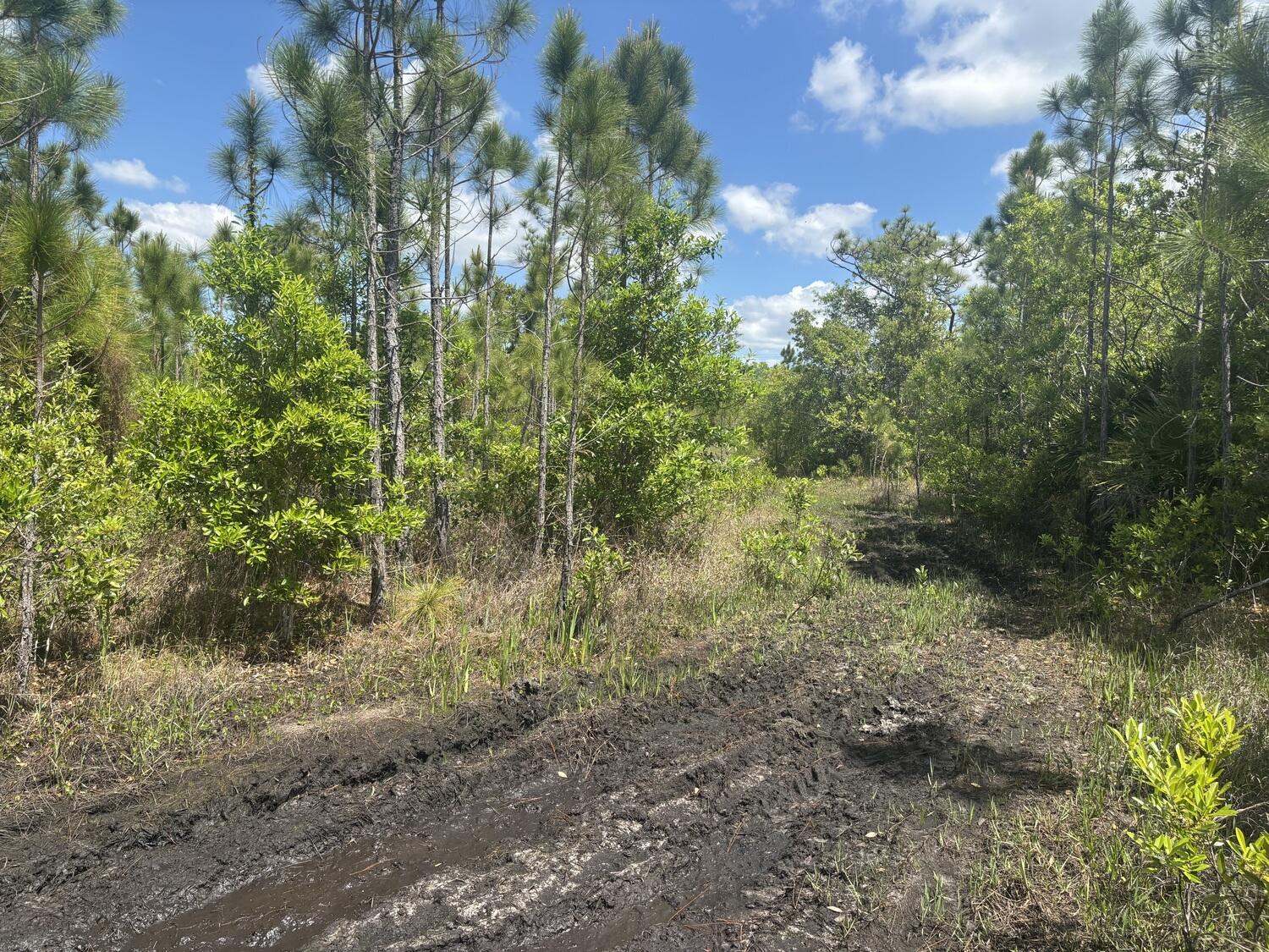 0 Holopaw Groves Road Property Photo 1