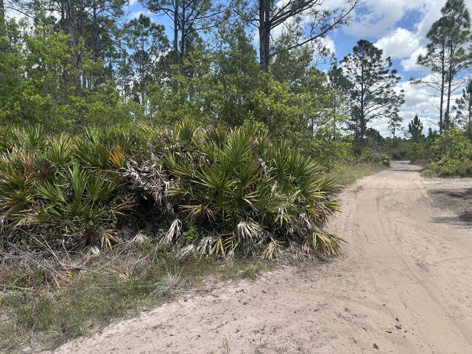 0 Holopaw Groves Road Property Photo 2