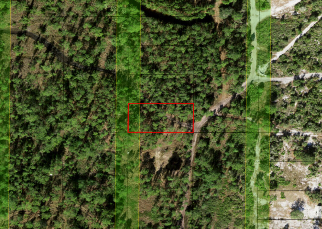 0 Holopaw Groves Road Property Photo 3