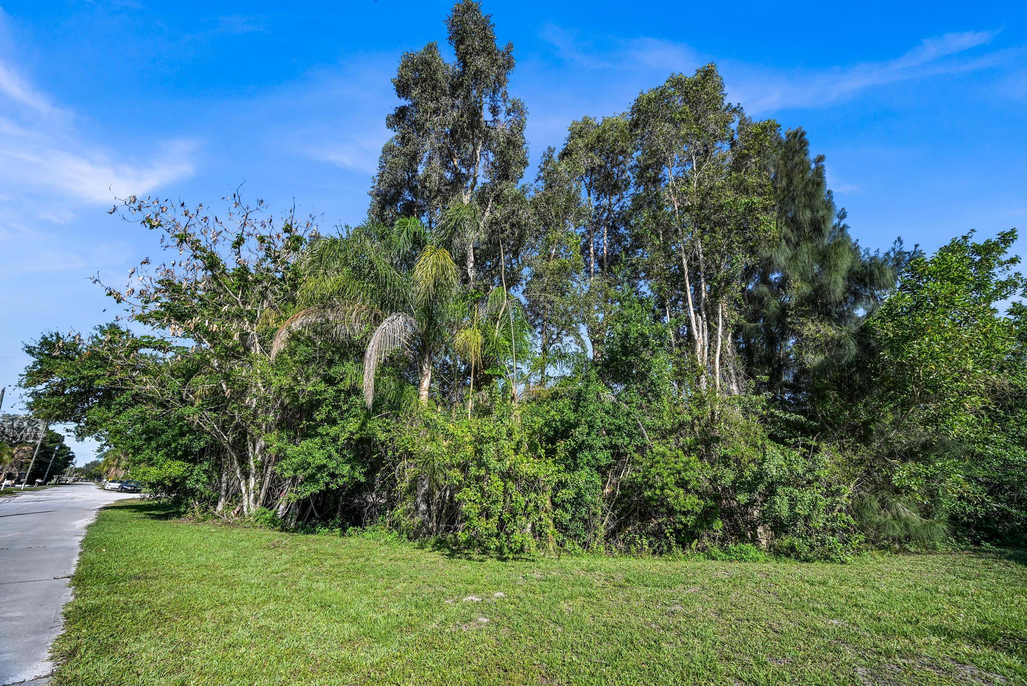 0 Unassigned Property Photo 7