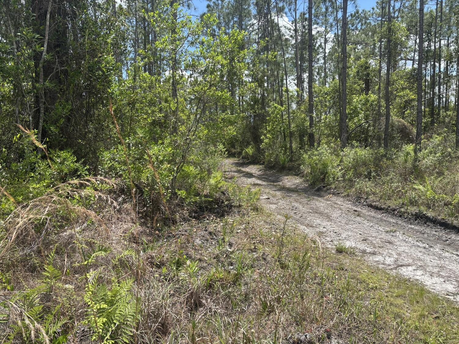 0 Holopaw Groves Road