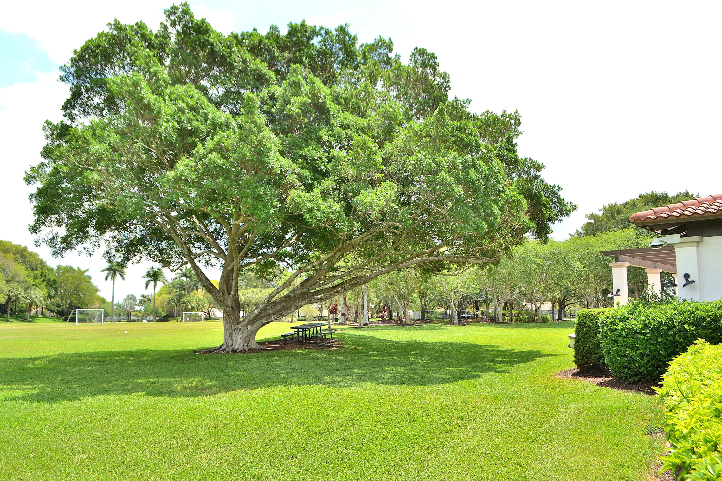 4361 Dogwood Circle Property Photo 26