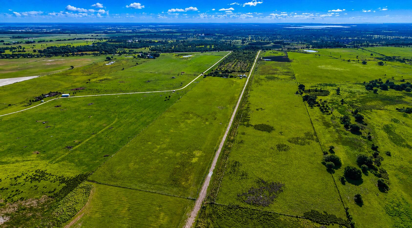 Tbd Kenansville Road Property Photo 4
