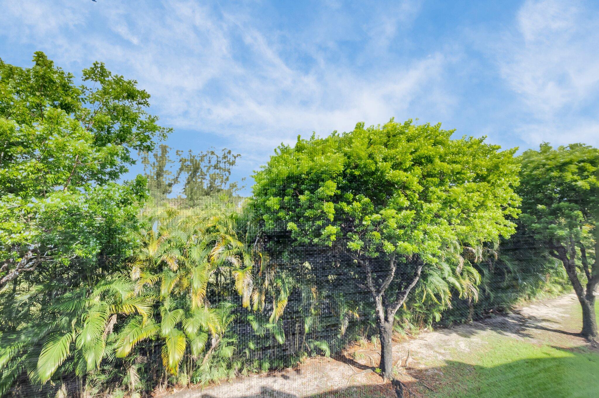 23247 N Barwood Ln Lane N 305 Property Photo 28