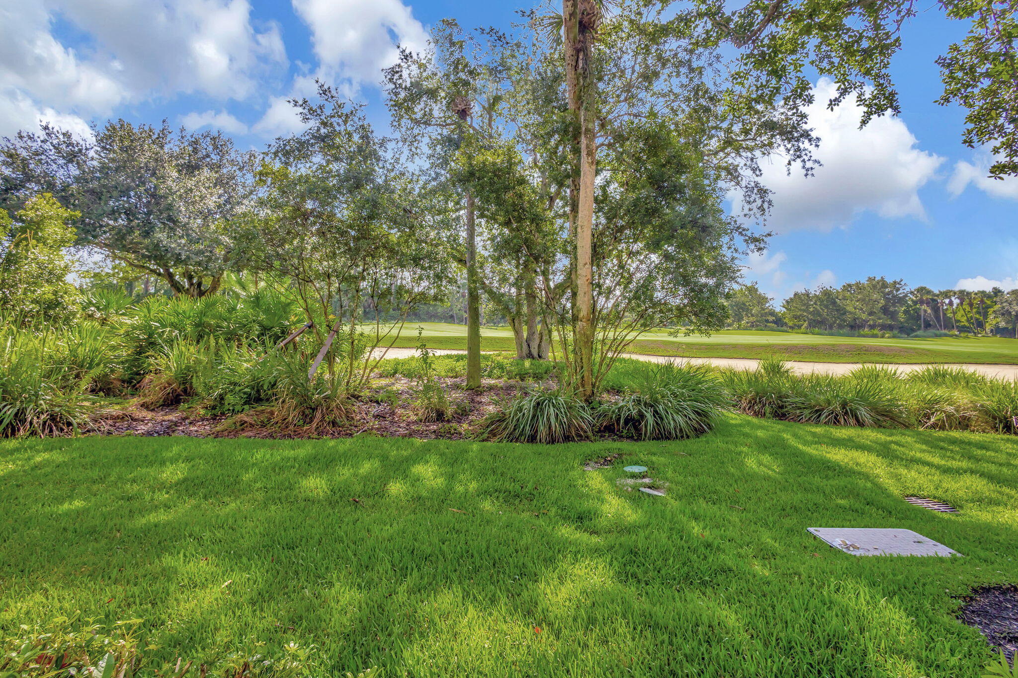 11556 Villa Vasari Drive Property Photo 49