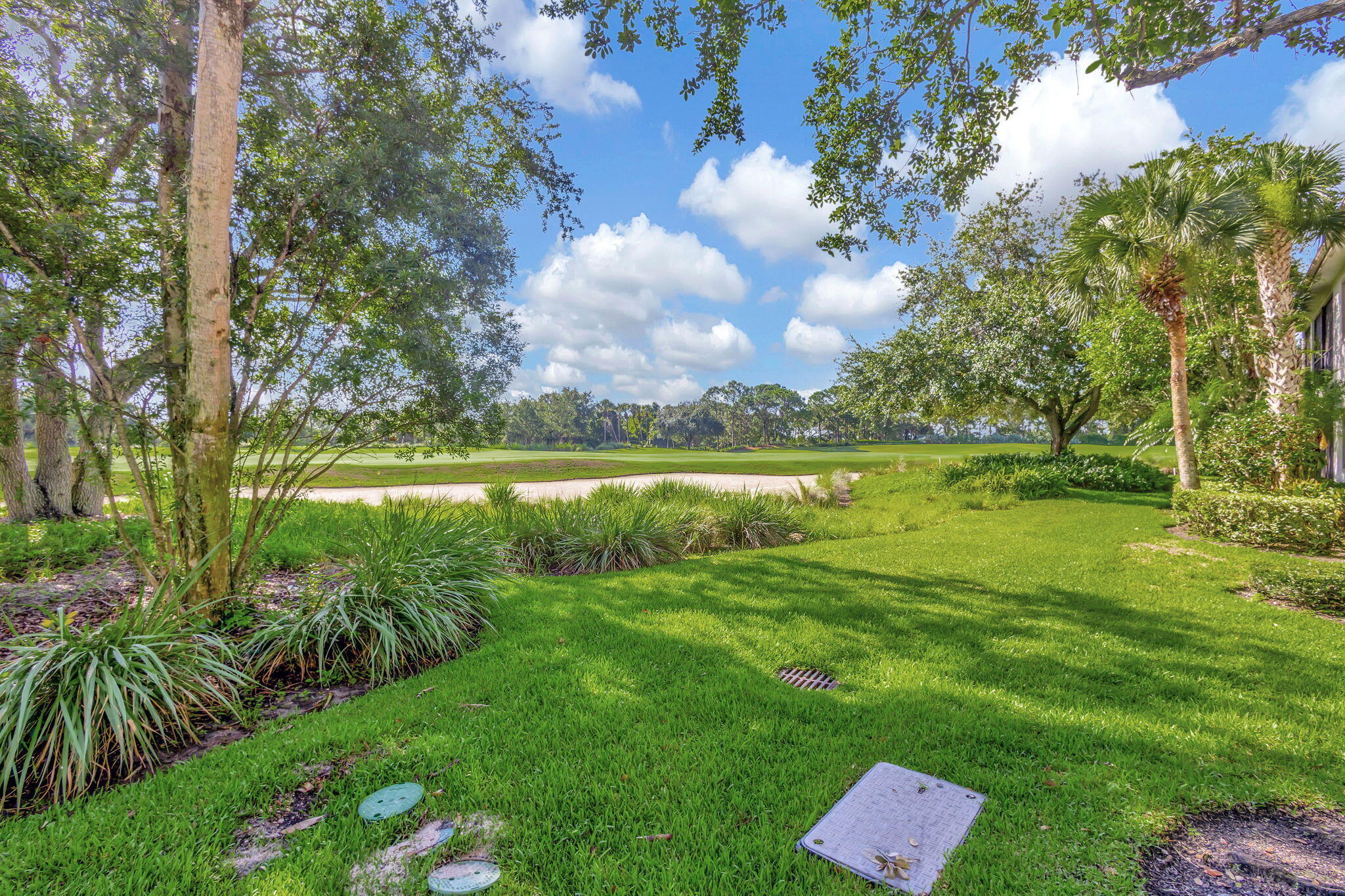 11556 Villa Vasari Drive Property Photo 50