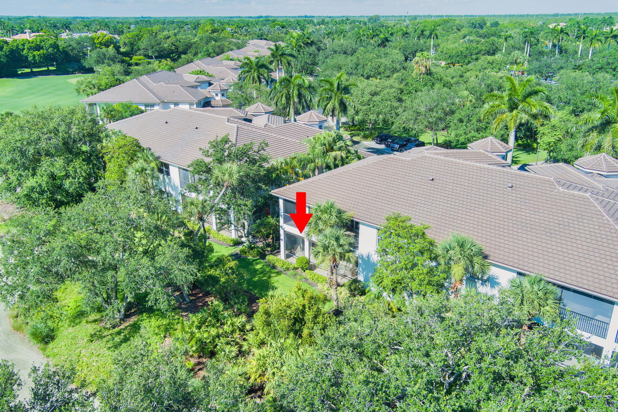 11556 Villa Vasari Drive Property Photo 62