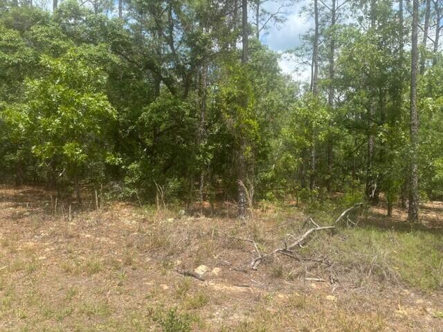 8593 N Bambury Terrace Property Photo 1