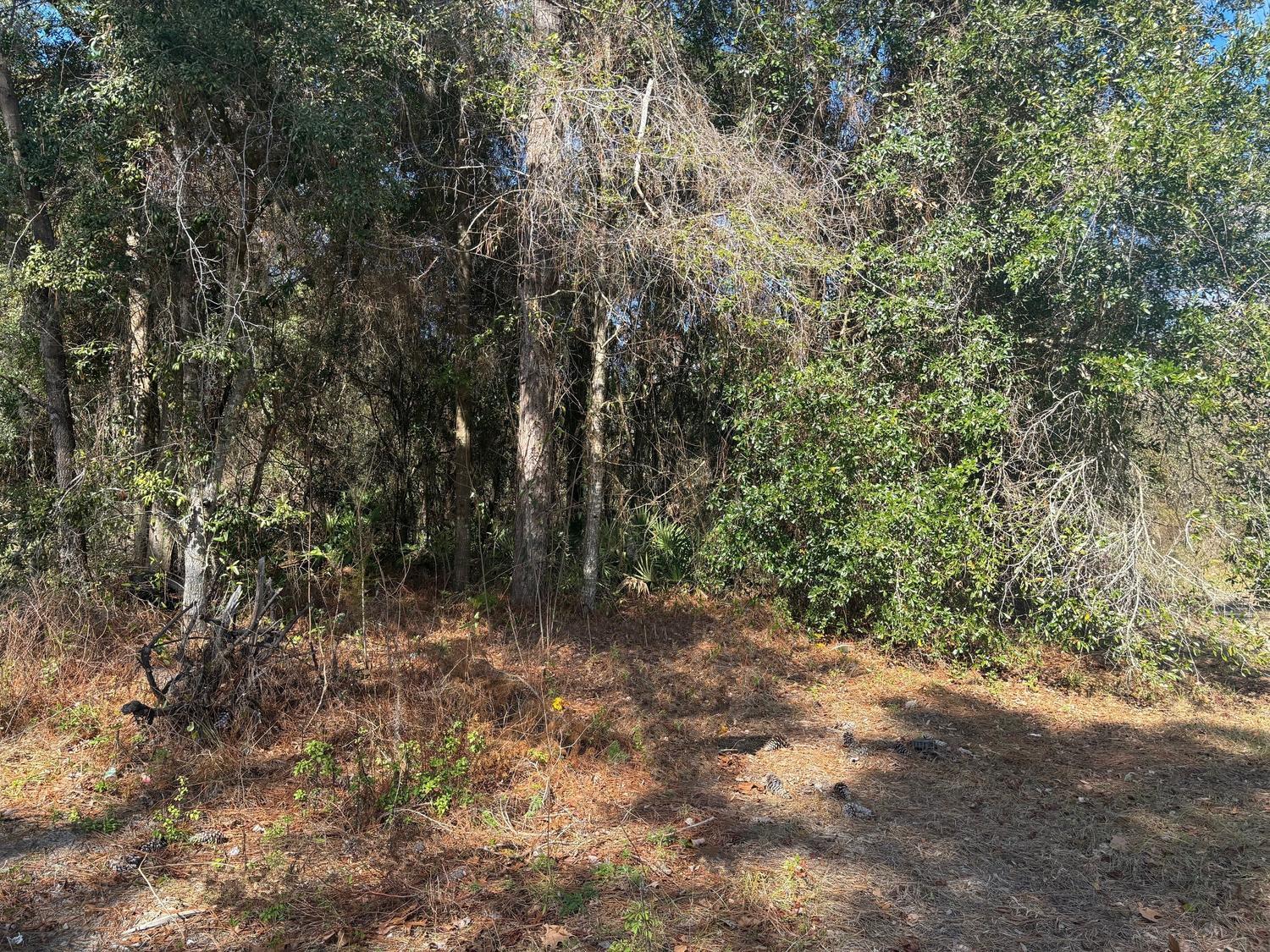 7178 W Wildfire Lane Property Photo 1