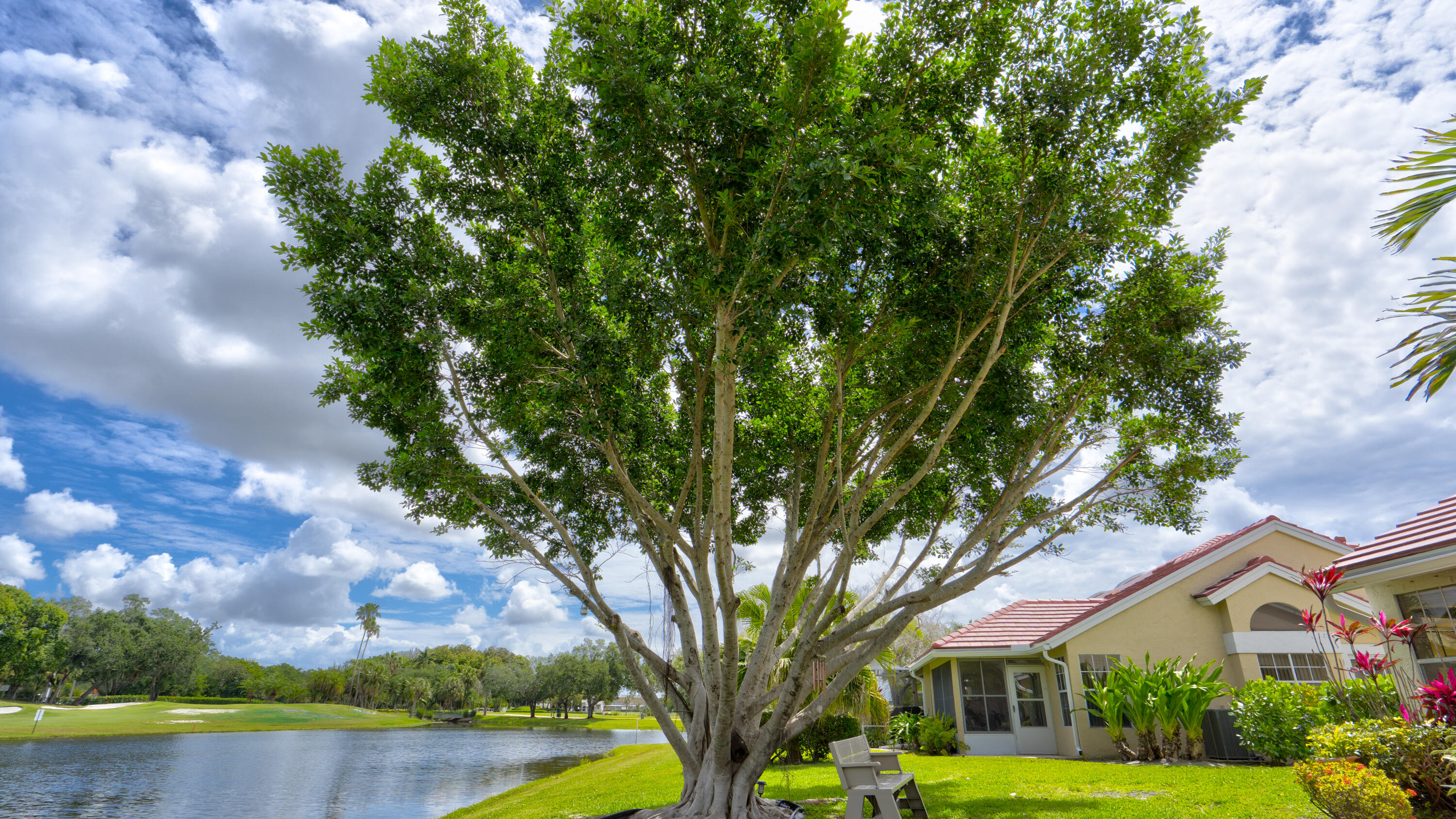 6120 Bear Creek Court Property Photo 11