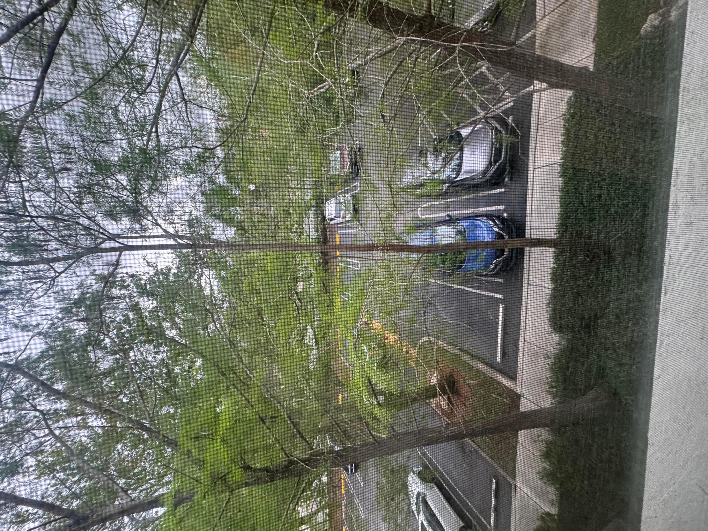 6650 W Sample Road Property Photo 11