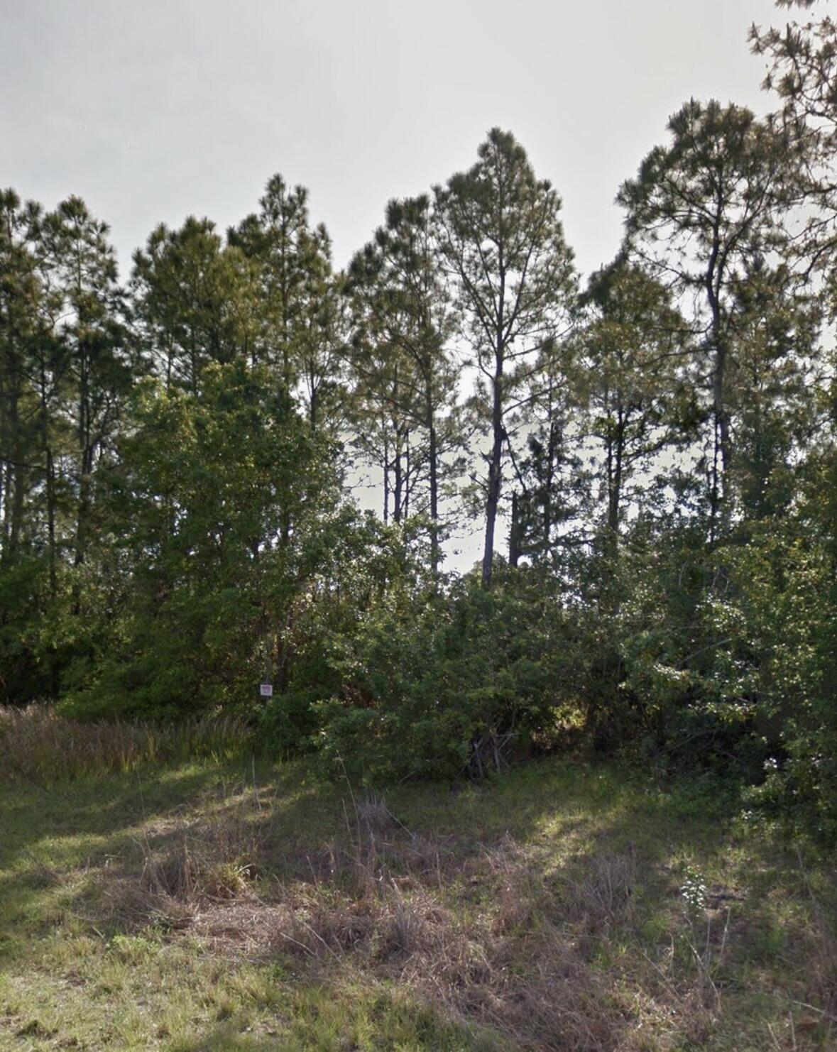 Lot 12 Silverleaf Road Property Photo 1