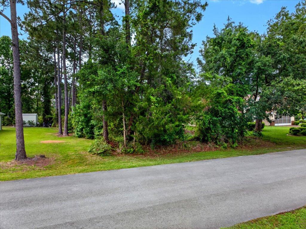 112 Ryberry Drive Property Photo 12