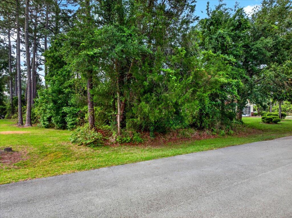 112 Ryberry Drive Property Photo 16