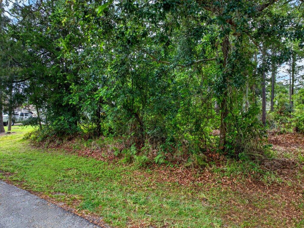 112 Ryberry Drive Property Photo 17