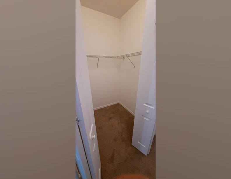 5542 Useppa Drive Property Photo 19