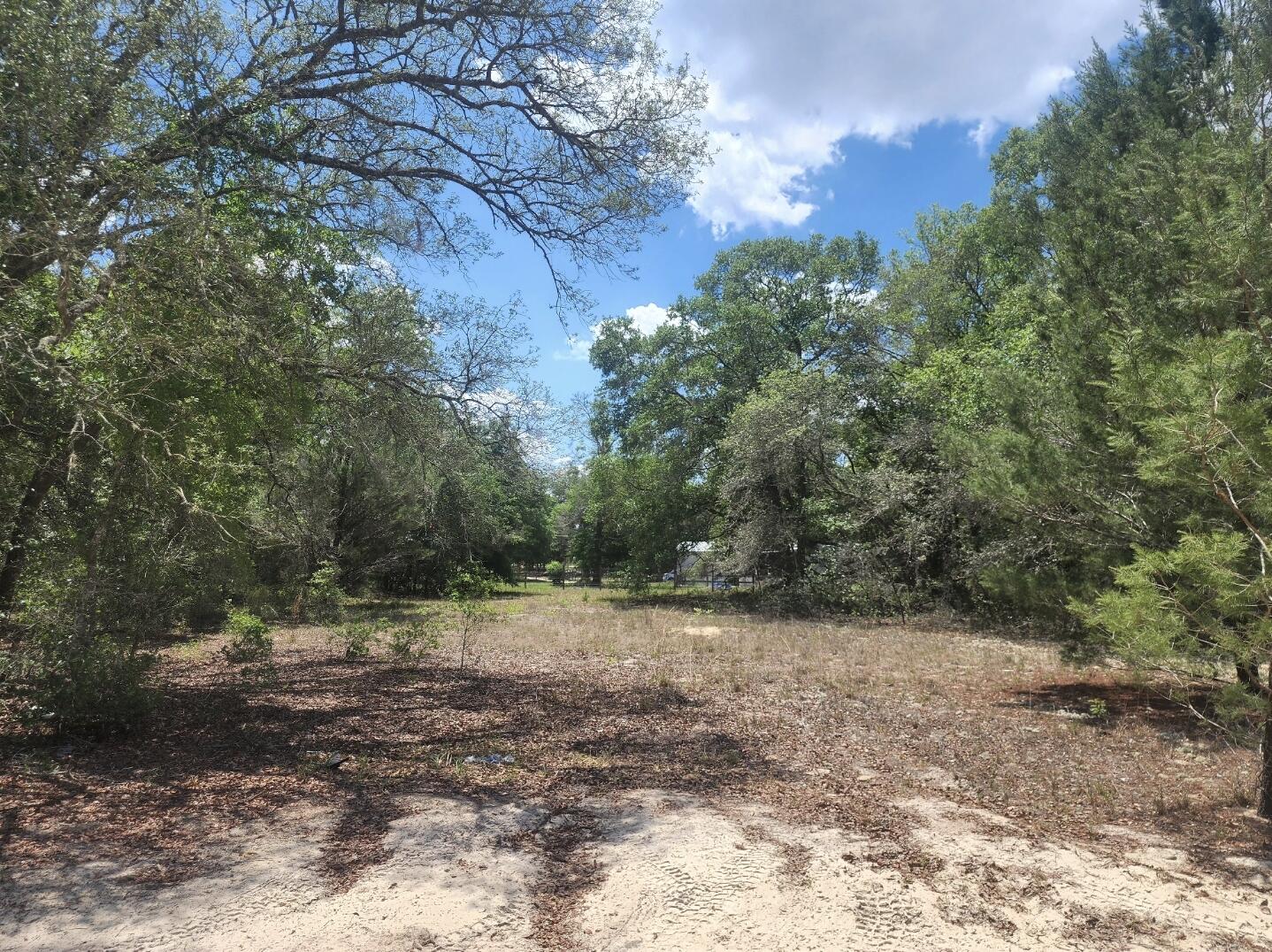 3199 Lich Street Property Photo 4
