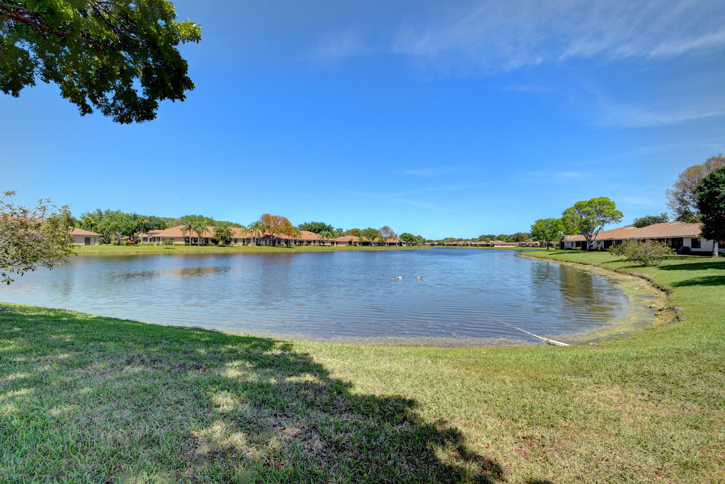 8130 Springtree Road A Property Photo 67