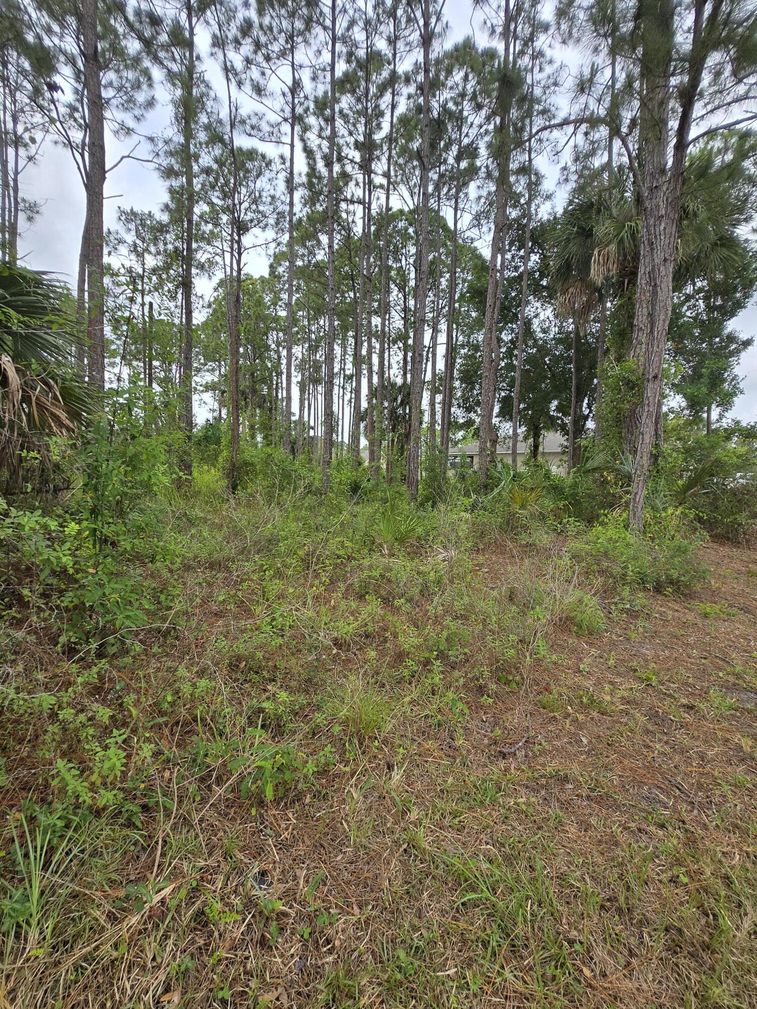 1836 Pindo Court Nw Property Photo 9